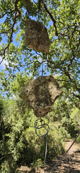 קובץ:2025-06-02T14 58 11.435192335996.jpg