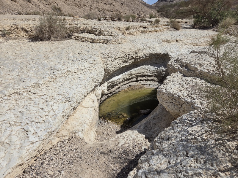 קובץ:2025-06-02T15 27 32.351820616323.jpg
