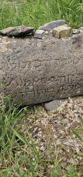 קובץ:2025-06-02T16 08 23.62551540460.jpg