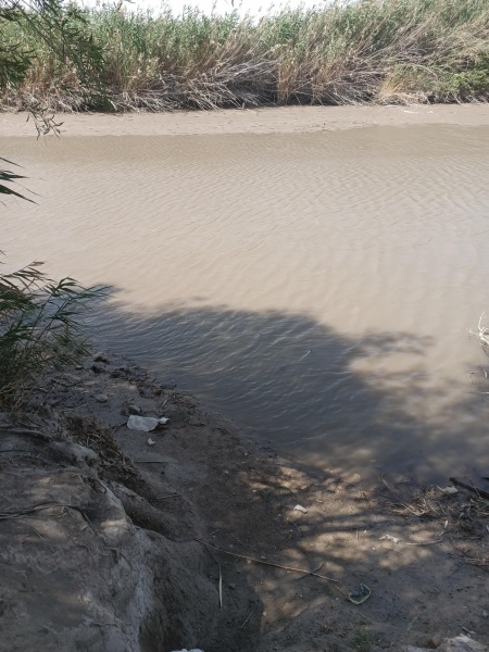 קובץ:2025-06-02T16 56 21.417815368914.jpg