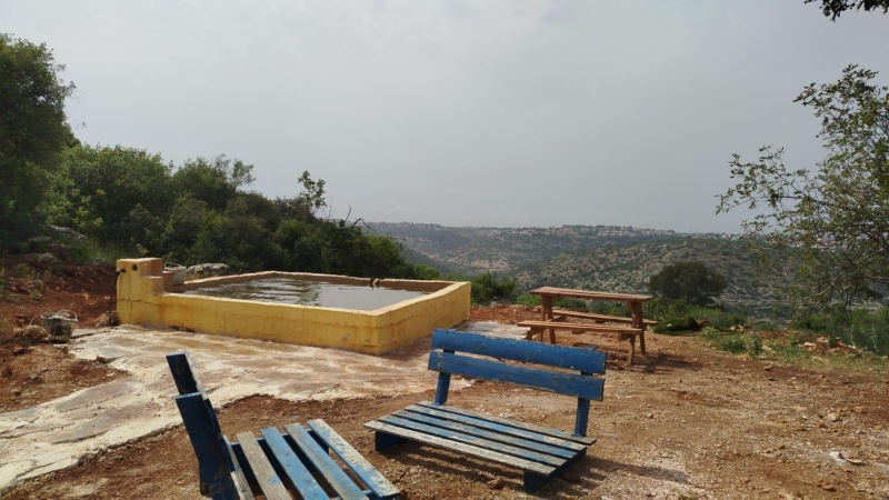קובץ:2025-06-03T00 49 31.601425593177.jpg