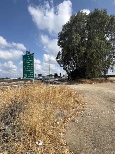קובץ:2025-06-03T09 44 00.807622410661.jpg