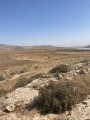תמונה ממוזערת לגרסה מתאריך 11:36, 3 ביוני 2025