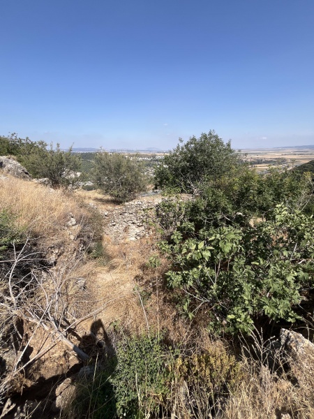 קובץ:2025-06-03T15 35 36.40749251775.jpg