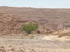 2025-06-04T10 25 00.845586556460.jpg
