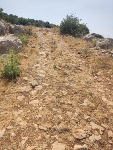 קובץ:2025-06-04T10 43 32.665691924317.jpg