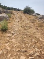 תמונה ממוזערת לגרסה מתאריך 07:20, 4 ביוני 2025