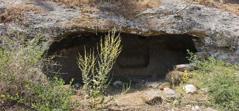 קובץ:2025-06-04T10 45 15.655298928125.jpg