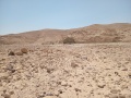 תמונה ממוזערת לגרסה מתאריך 15:41, 4 ביוני 2025