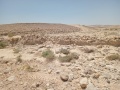 תמונה ממוזערת לגרסה מתאריך 15:42, 4 ביוני 2025