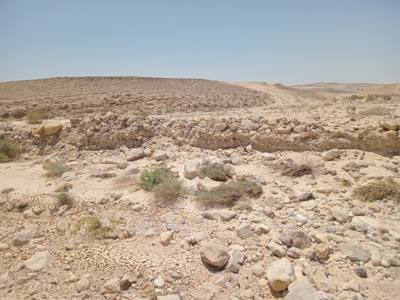 קובץ:2025-06-04T11 45 50.344609496694.jpg