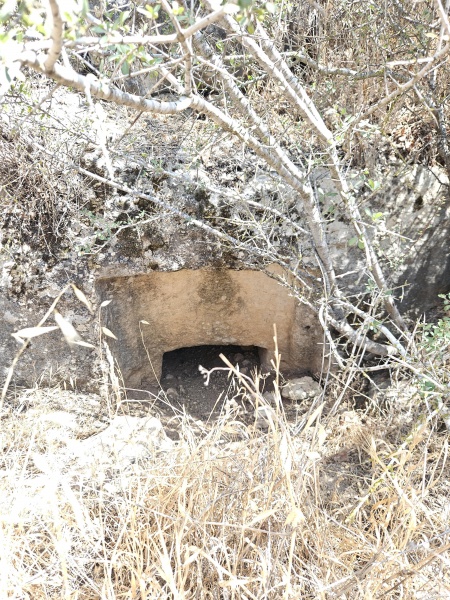 קובץ:2025-06-04T14 44 58.398918919140.jpg