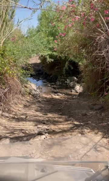 קובץ:2025-06-04T14 46 12.100186913170.jpg