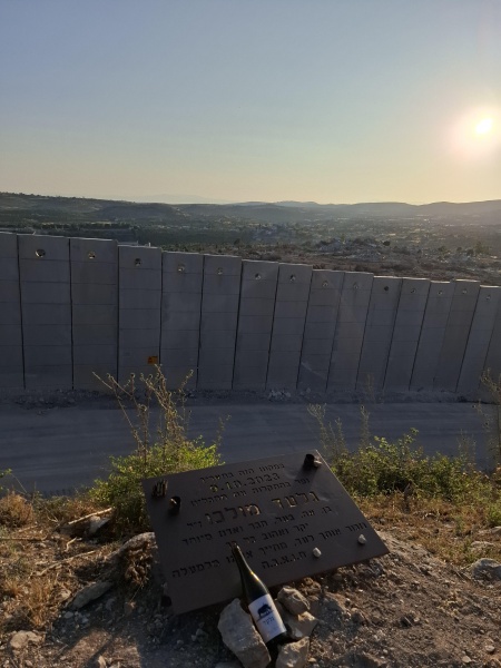 קובץ:2025-06-05T06 20 30.694247454251.jpg