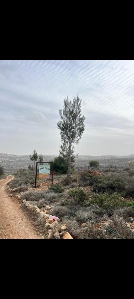 קובץ:2025-06-05T07 08 28.697343984664.jpg