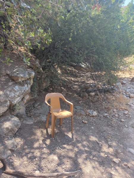 קובץ:2025-06-05T15 05 45.787243850183.jpg