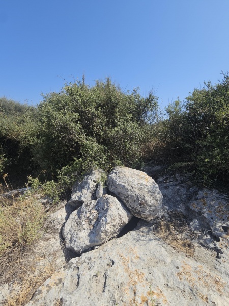 קובץ:2025-06-05T15 38 10.036351599154.jpg