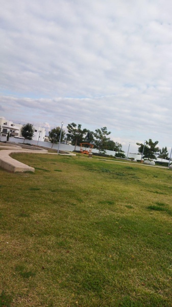 קובץ:2025-06-05T16 54 30.840579335225.jpg