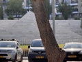 תמונה ממוזערת לגרסה מתאריך 13:46, 5 ביוני 2025