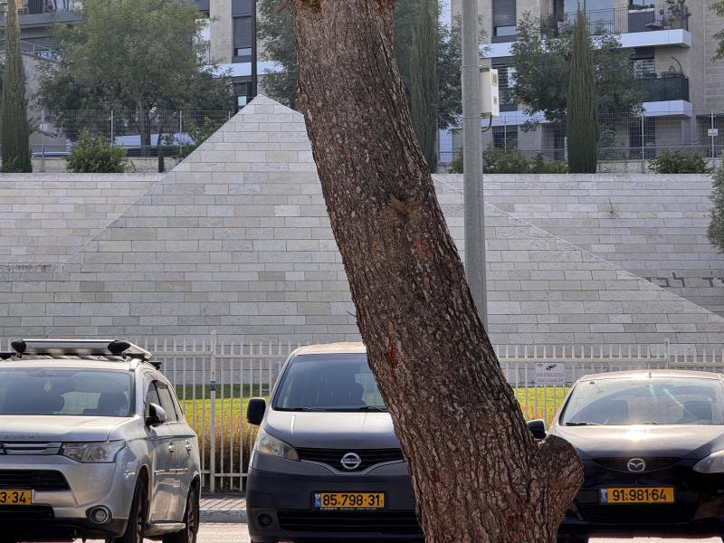 קובץ:2025-06-05T17 08 31.104335916800.jpg