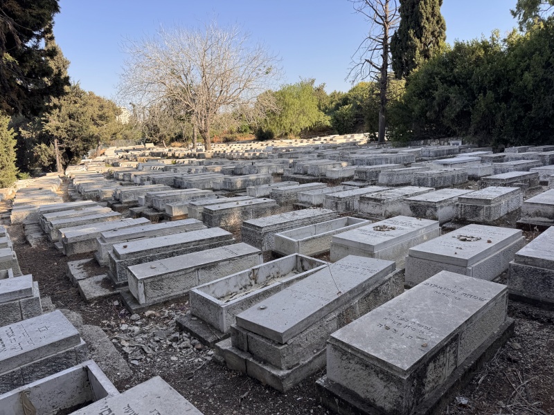 קובץ:2025-06-05T17 33 33.494847976624.jpg