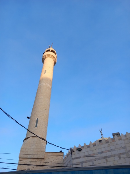 קובץ:2025-06-06T06 08 43.601763171208.jpg