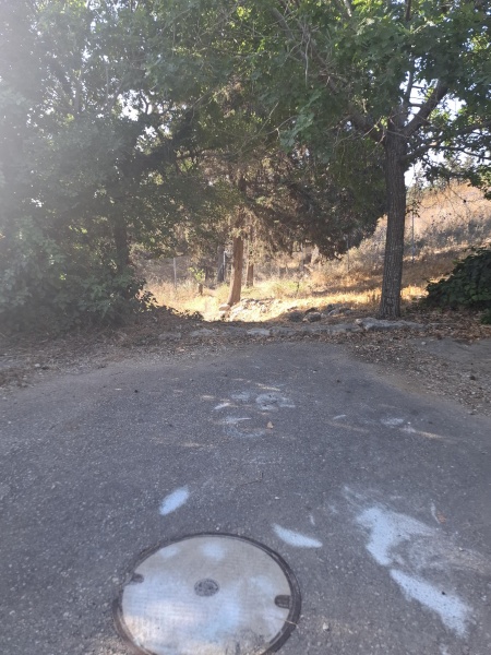 קובץ:2025-06-06T07 42 05.611653351871.jpg