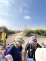 תמונה ממוזערת לגרסה מתאריך 05:12, 6 ביוני 2025