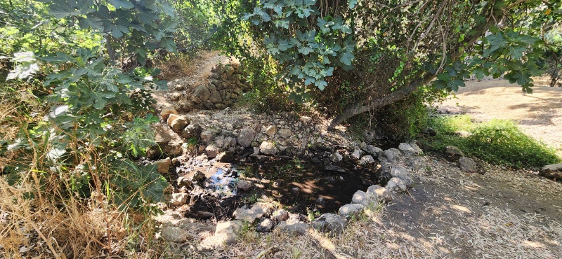 קובץ:2025-06-06T08 57 28.047786388661.jpg
