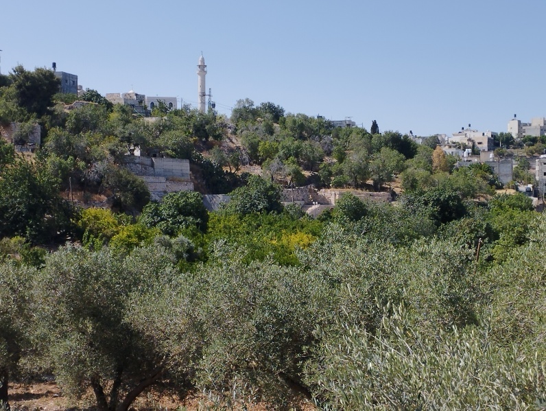 קובץ:2025-06-06T09 41 19.353335774613.jpg