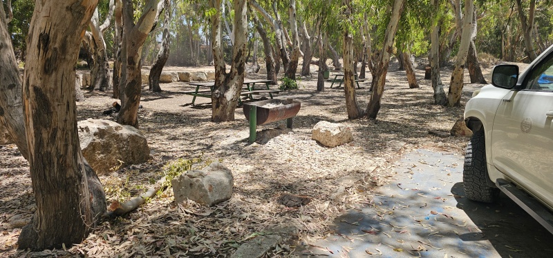 קובץ:2025-06-06T12 38 55.299058912510.jpg