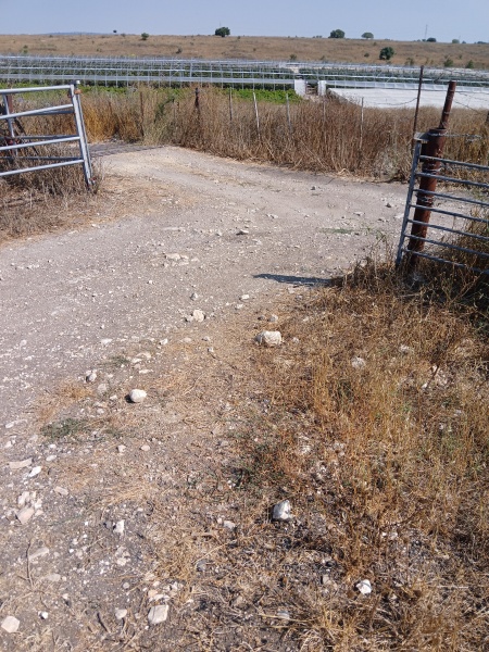 קובץ:2025-06-06T15 58 21.448562517980.jpg