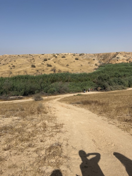קובץ:2025-06-06T16 03 50.566112167067.jpg