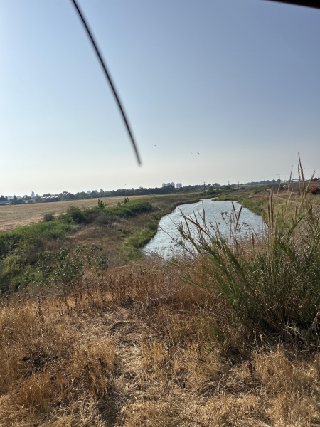 קובץ:2025-06-06T17 28 58.839279563838.jpg