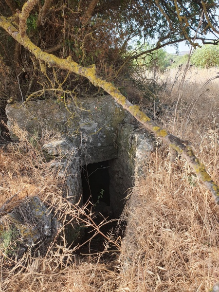 קובץ:2025-06-07T08 14 42.996632462138.jpg