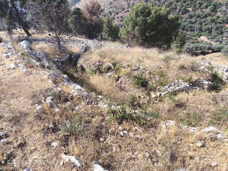 קובץ:2025-06-07T08 28 14.049265225059.jpg