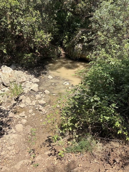 קובץ:2025-06-07T11 13 09.073392427820.jpg