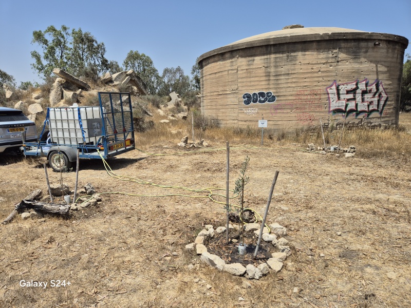 קובץ:2025-06-07T11 44 33.429859576566.jpg