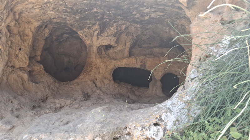 קובץ:2025-06-07T12 33 02.086724174927.jpg