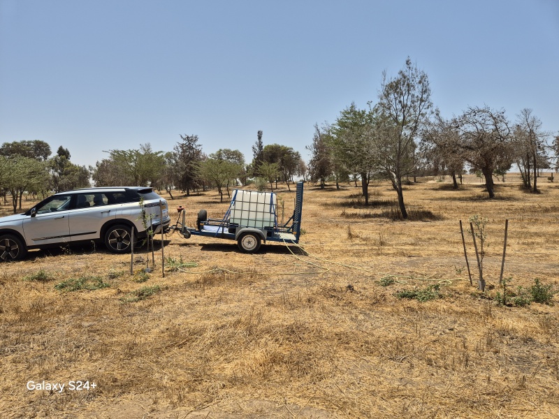 קובץ:2025-06-07T12 34 06.919634858658.jpg