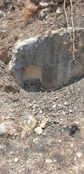 קובץ:2025-06-07T12 34 12.125482660993.jpg