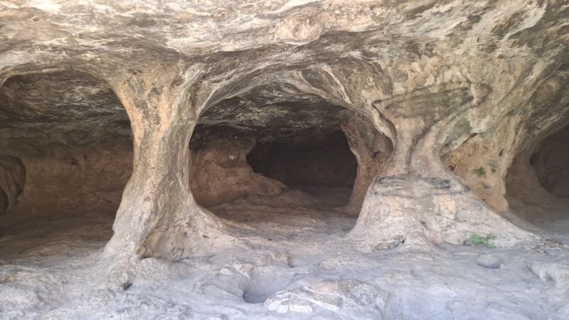 קובץ:2025-06-07T12 34 19.753500350370.jpg