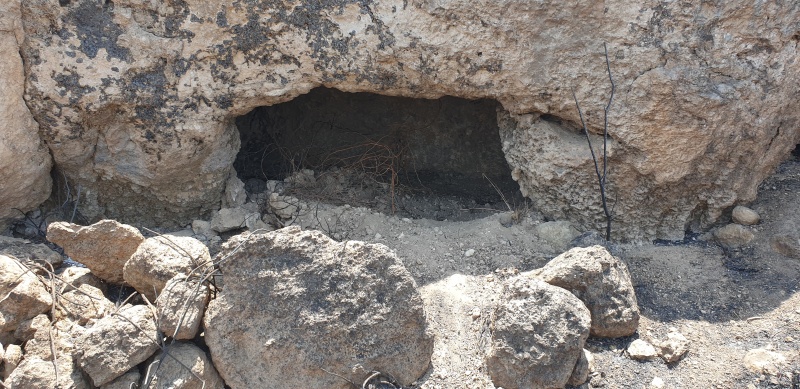 קובץ:2025-06-07T12 53 27.789099318656.jpg