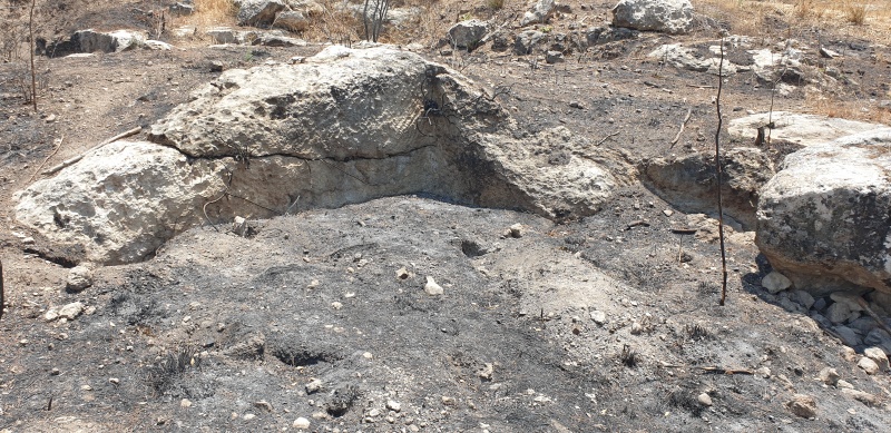 קובץ:2025-06-07T13 05 35.319938272535.jpg