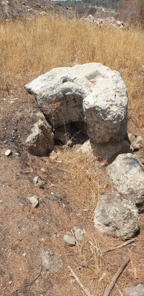 קובץ:2025-06-07T13 21 27.357490523441.jpg