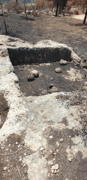קובץ:2025-06-07T13 40 56.998383699554.jpg