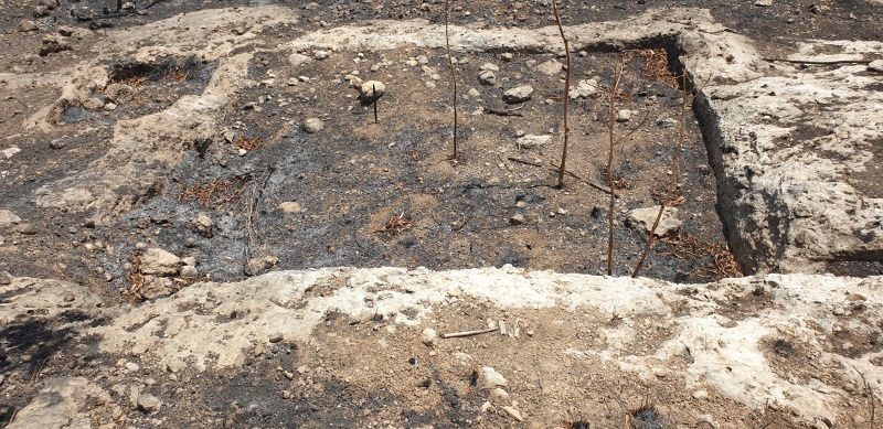 קובץ:2025-06-07T13 46 04.498411219057.jpg