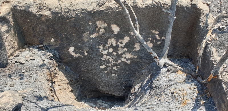 קובץ:2025-06-07T14 18 26.591673239551.jpg