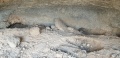 תמונה ממוזערת לגרסה מתאריך 11:26, 7 ביוני 2025