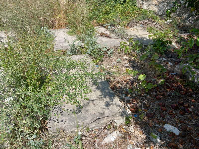 קובץ:2025-06-07T14 26 51.289225787228.jpg